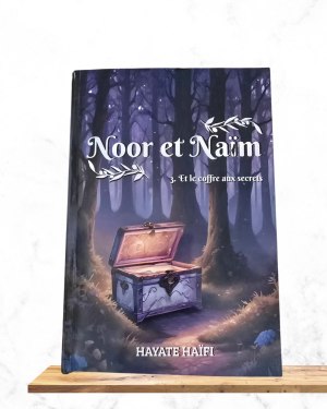 Noor et Naim - Le coffre aux secrets (Tome 3)