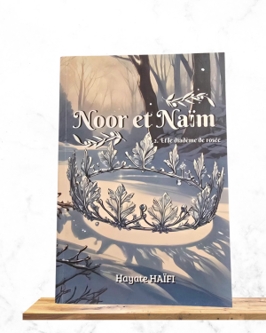 Noor et Naim - Et le diadème de Rosée (Tome 2)